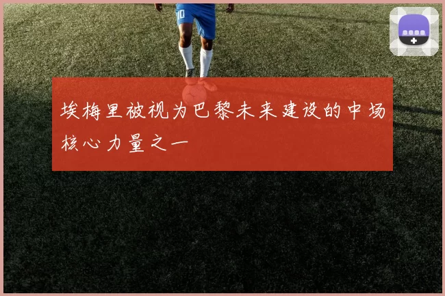 埃梅里被视为巴黎未来建设的中场核心力量之一
