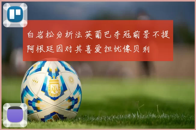 白岩松分析法英葡巴夺冠前景不提阿根廷因对其喜爱担忧像贝利